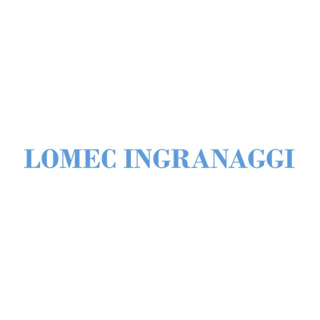 LOMEC INGRANAGGI SRL