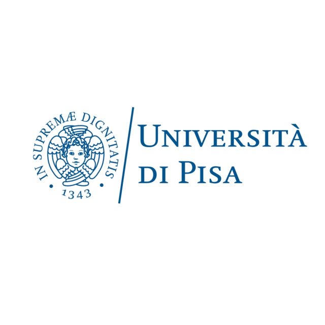 DICI – UNVERSITA’ DI PISA