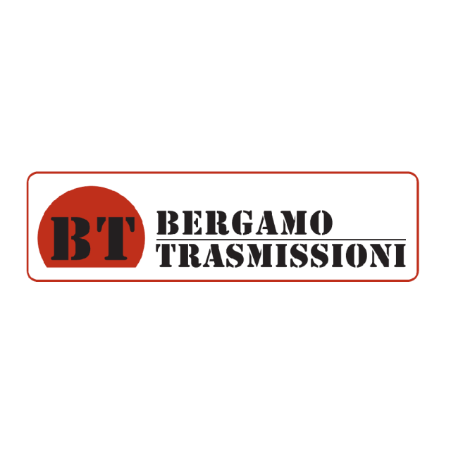 BERGAMO TRASMISSIONI SRL