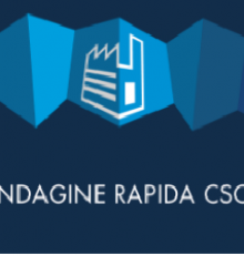 CONFINDUSTRIA Indagine Rapida CSC – Novembre  2021